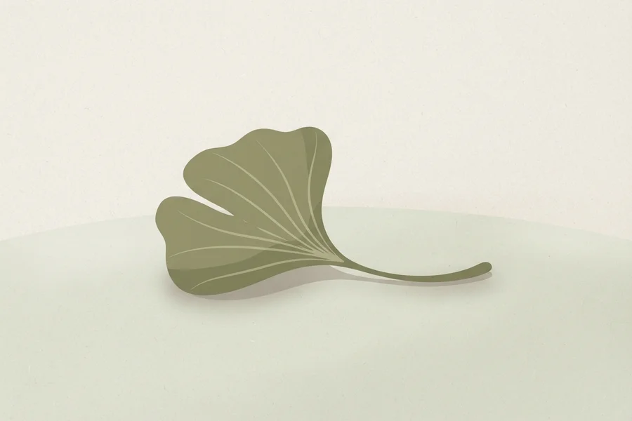 Una hoja verde solitaria apoyada sobre una superficie clara.